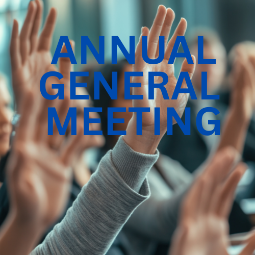 ANNUAL GENERAL MEETING 2